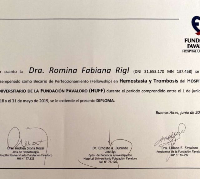 Acercar imagen: certificate 5