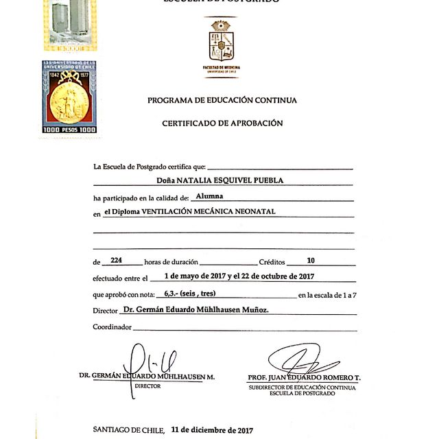 Acercar imagen: certificate 5