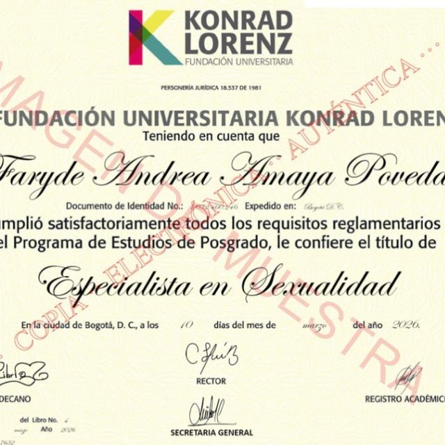 Acercar imagen: certificate 4