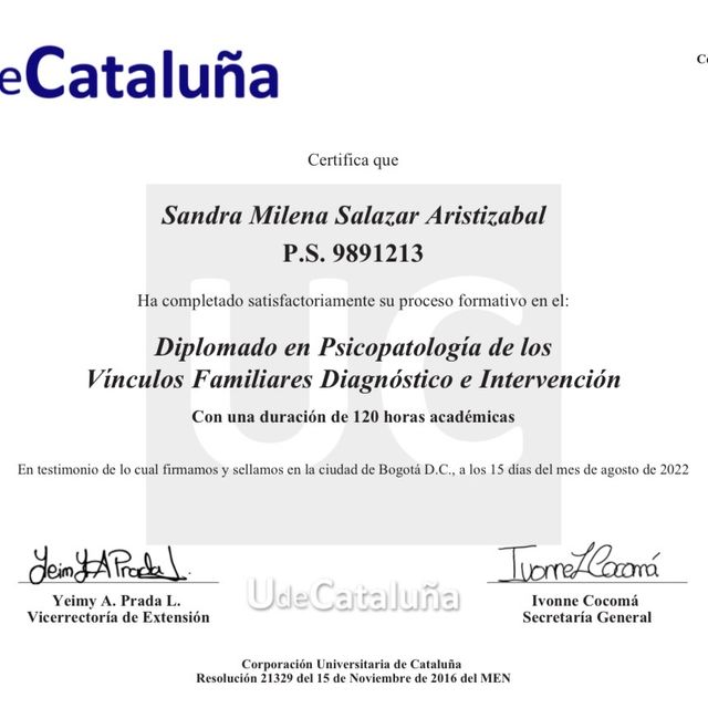 Acercar imagen: certificate 7