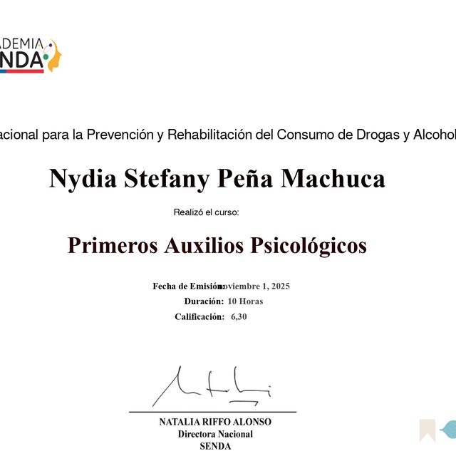Acercar imagen: certificate 13
