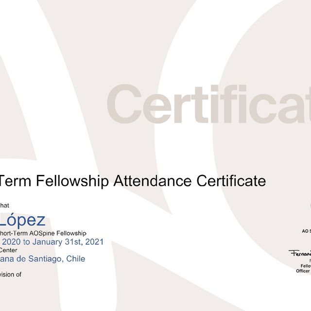 Acercar imagen: certificate 3