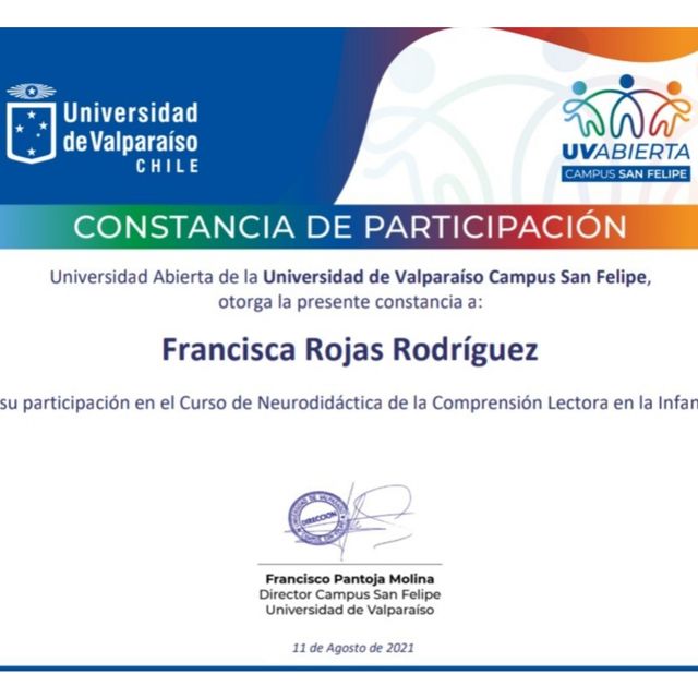 Acercar imagen: certificate 6
