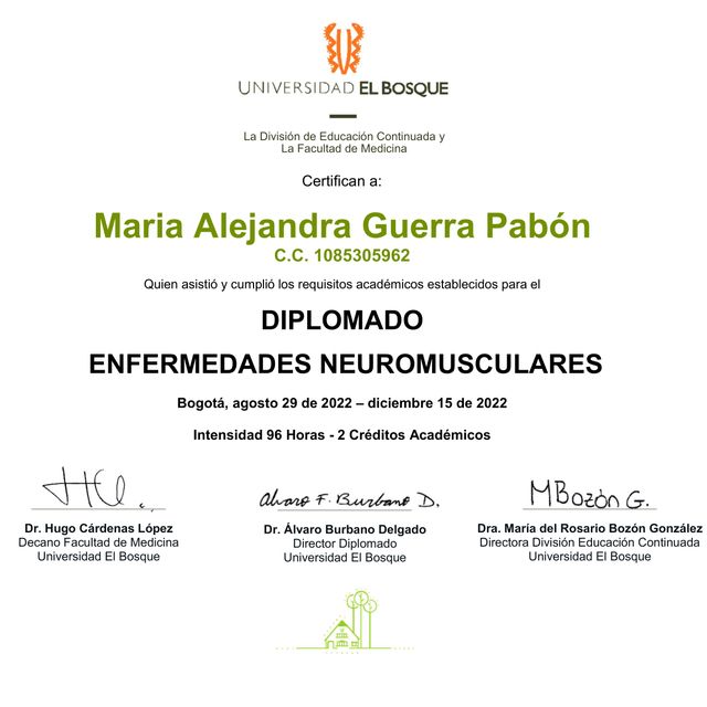 Acercar imagen: certificate 28