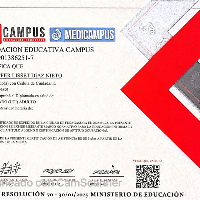Acercar imagen: certificate 13