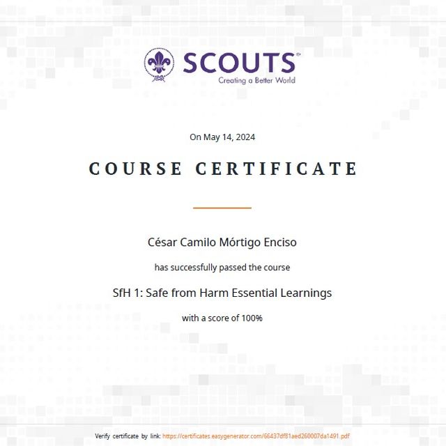 Acercar imagen: certificate 8
