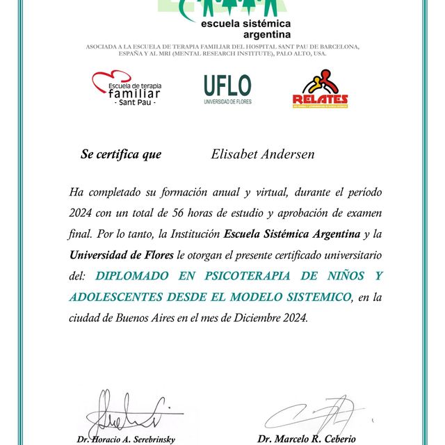 Acercar imagen: certificate 4