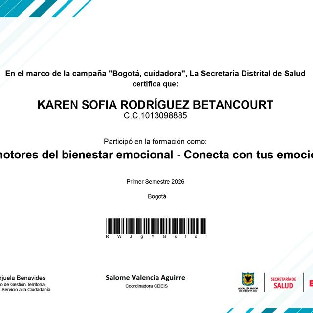 Acercar imagen: certificate 6