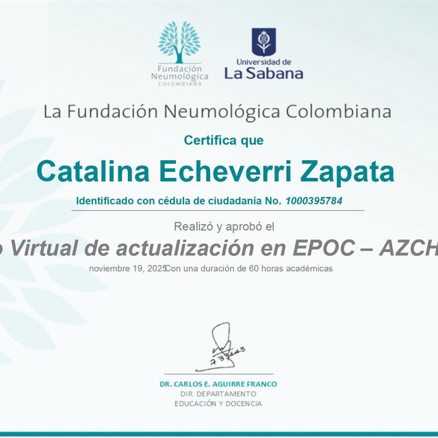 Acercar imagen: certificate 3