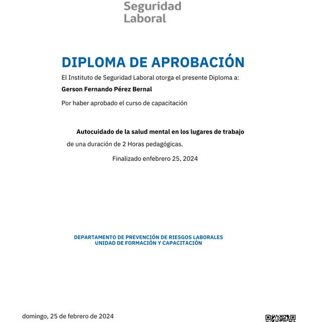 Acercar imagen: certificate 27