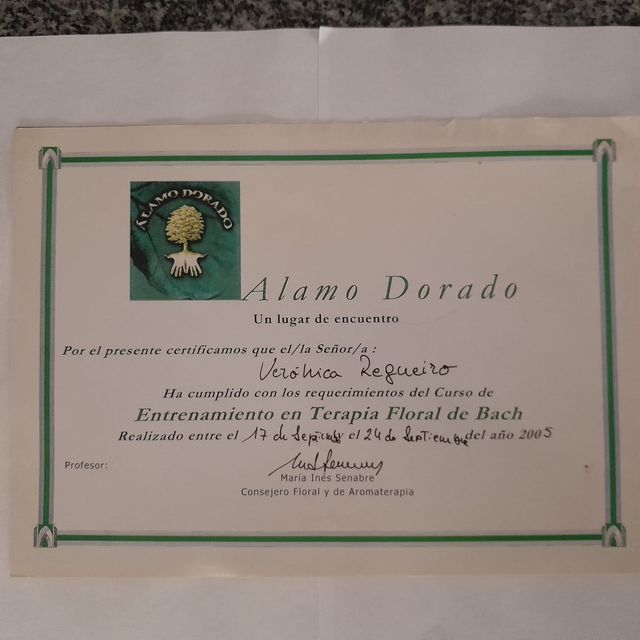 Acercar imagen: certificate 7