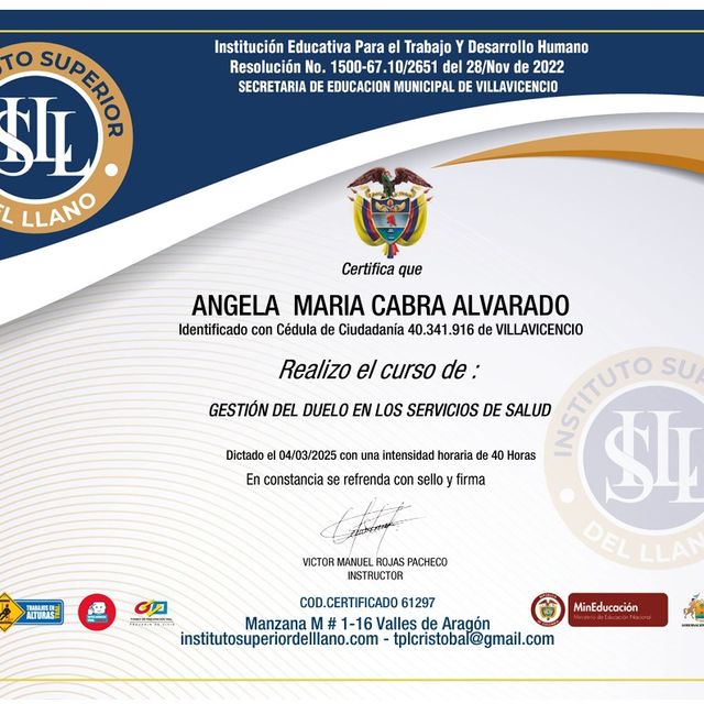 Acercar imagen: certificate 12