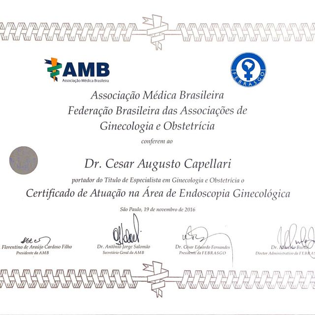 Ampliar imagem: certificate 4