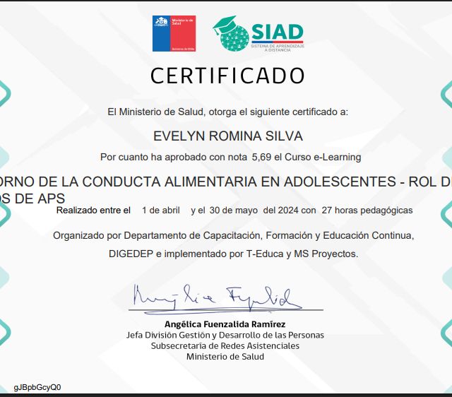 Acercar imagen: certificate 17