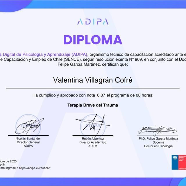 Acercar imagen: certificate 14