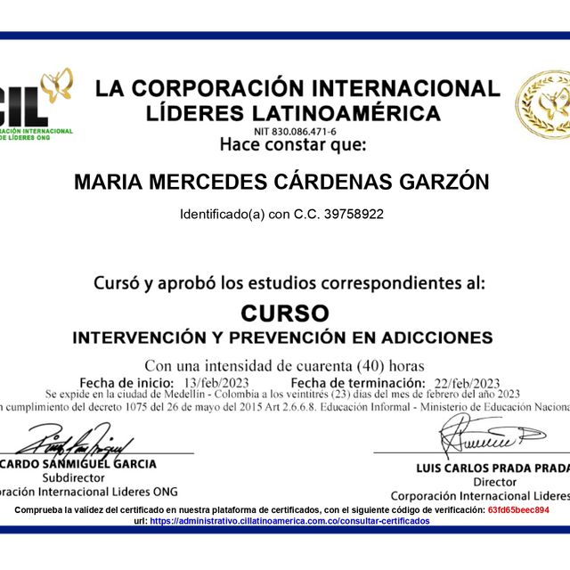 Acercar imagen: certificate 6