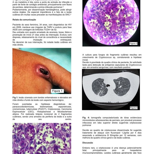 Ampliar imagem: certificate 12