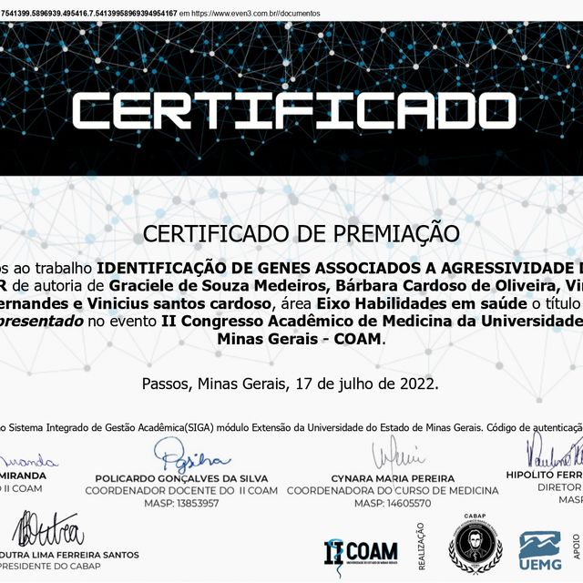 Ampliar imagem: certificate 2