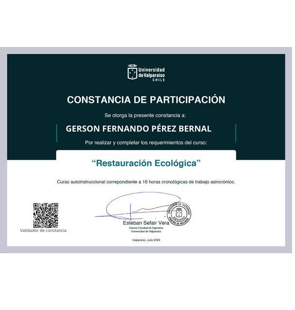 Acercar imagen: certificate 5