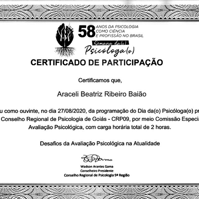 Ampliar imagem: certificate 3