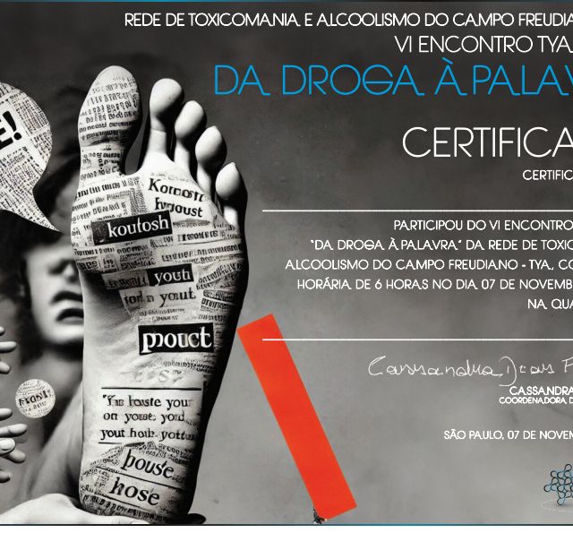 Ampliar imagem: certificate 4