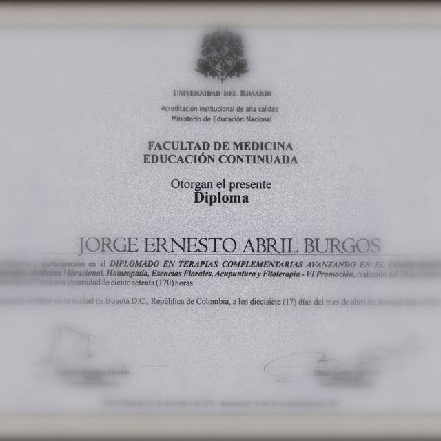 Acercar imagen: certificate 6