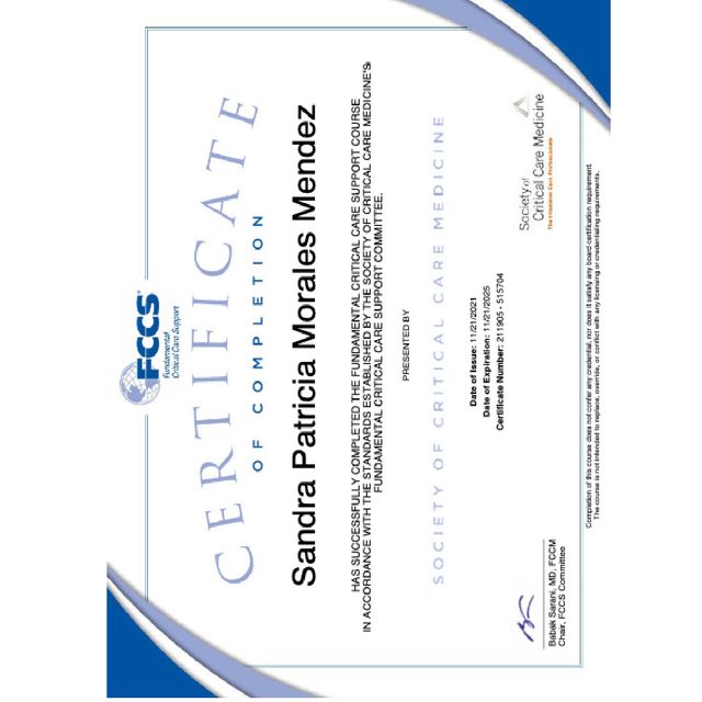 Acercar imagen: certificate 3
