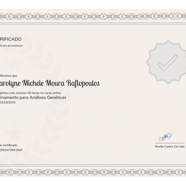 Ampliar imagem: certificate 7