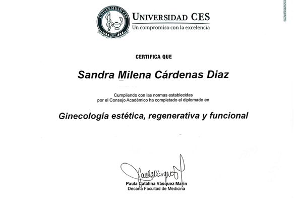 Acercar imagen: certificate 3