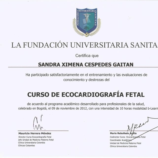 Acercar imagen: certificate 5
