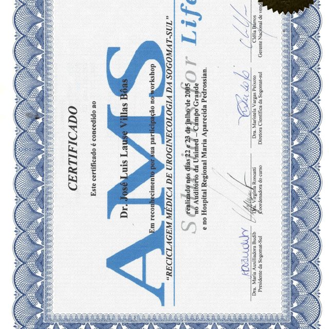 Ampliar imagem: certificate 3