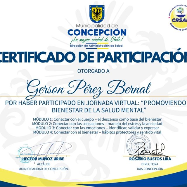 Acercar imagen: certificate 17