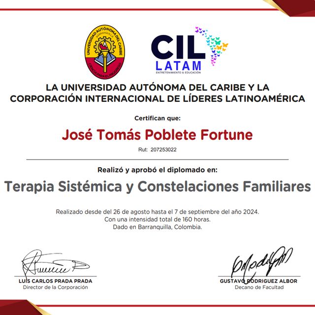 Acercar imagen: certificate 6
