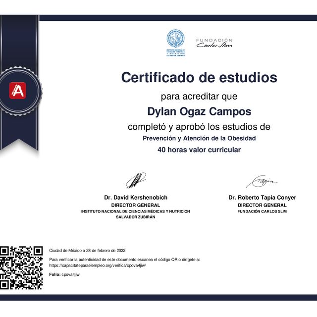 Acercar imagen: certificate 11
