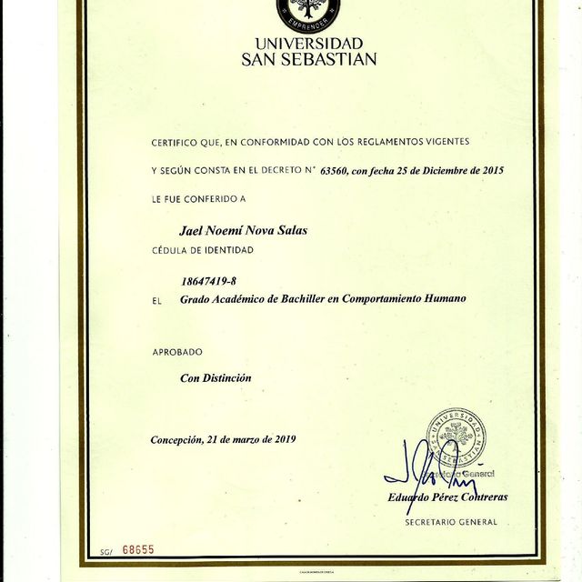 Acercar imagen: certificate 2