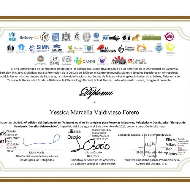Acercar imagen: certificate 8