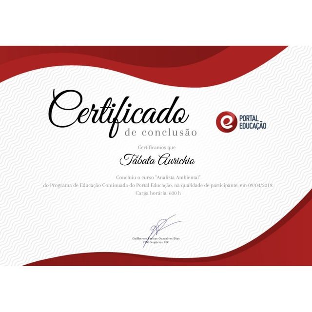 Ampliar imagem: certificate 2