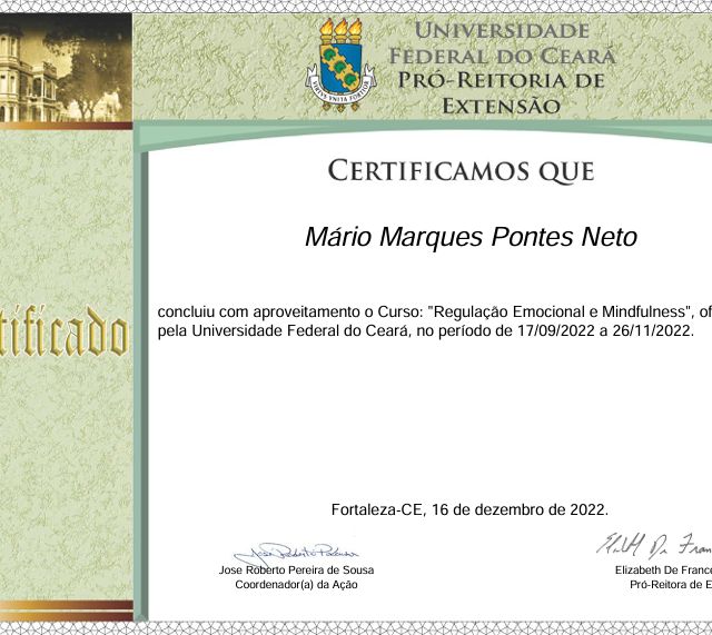 Ampliar imagem: certificate 7