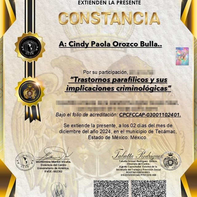 Acercar imagen: certificate 2