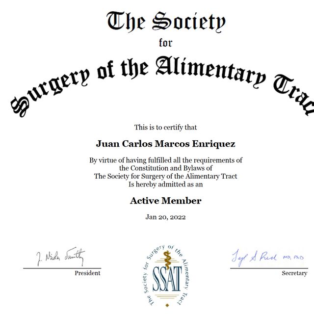 Acercar imagen: certificate 6