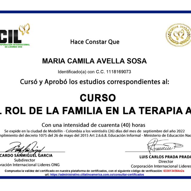 Acercar imagen: certificate 5