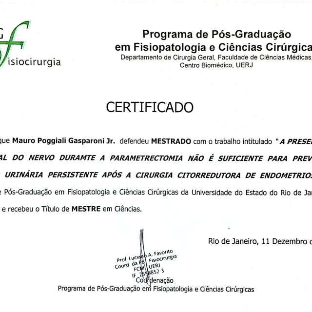 Ampliar imagem: certificate 13