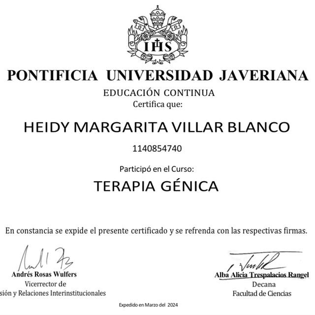 Acercar imagen: certificate 3