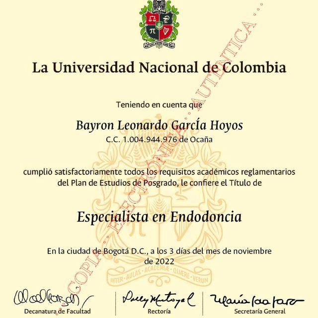Acercar imagen: certificate 3