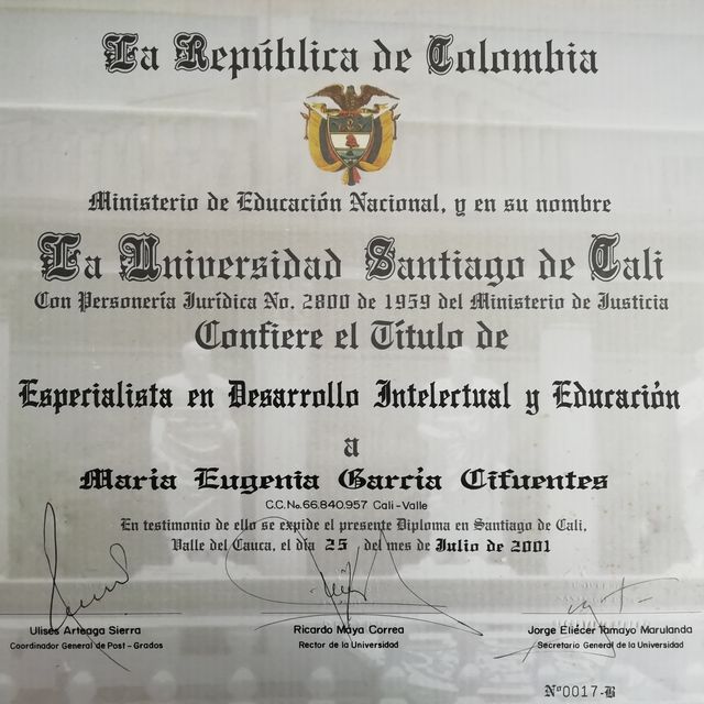 Acercar imagen: certificate 3