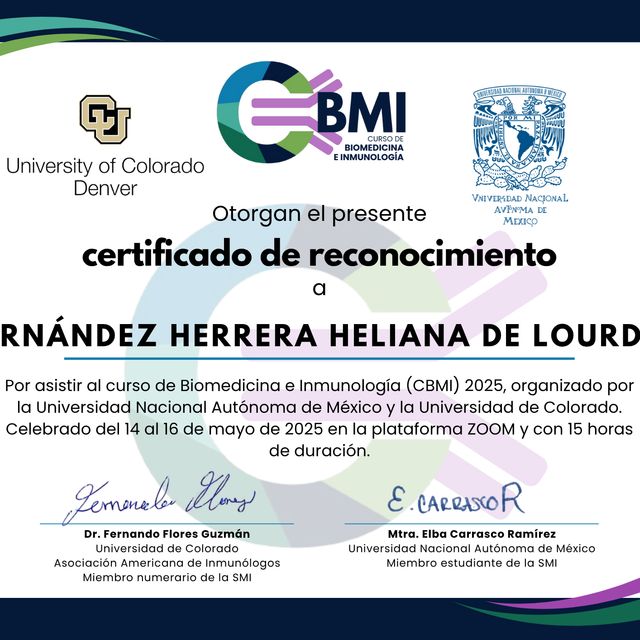 Acercar imagen: certificate 6