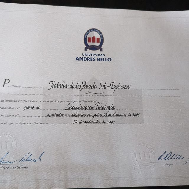Acercar imagen: certificate 3