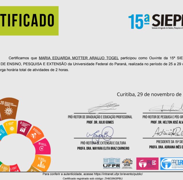 Ampliar imagem: certificate 11