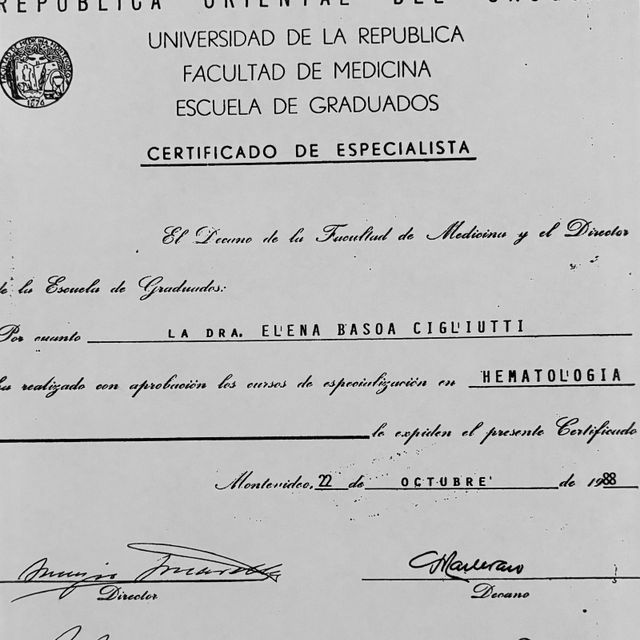 Acercar imagen: certificate 3