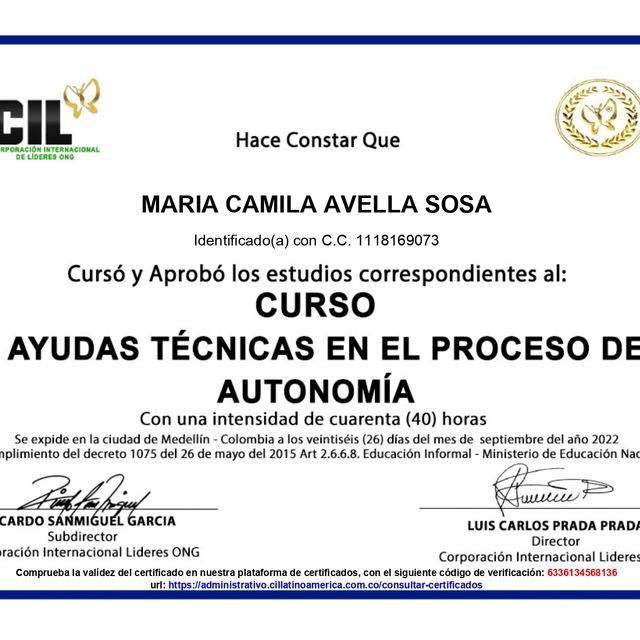 Acercar imagen: certificate 6